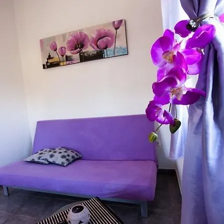 Apartment Pula 8 Pula